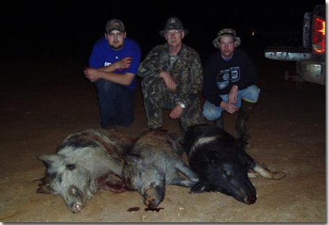 Wild Hog Hunt