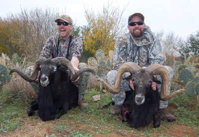 Deer Hunting Texas Exotic Hunt