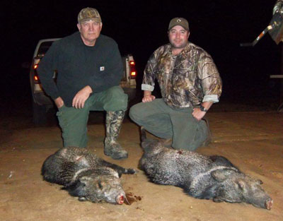 Deer Hunting Texas Wild Hog Hunt