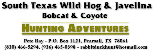 South Texas Wild Hog & Javelina, Bobcat & Coyote