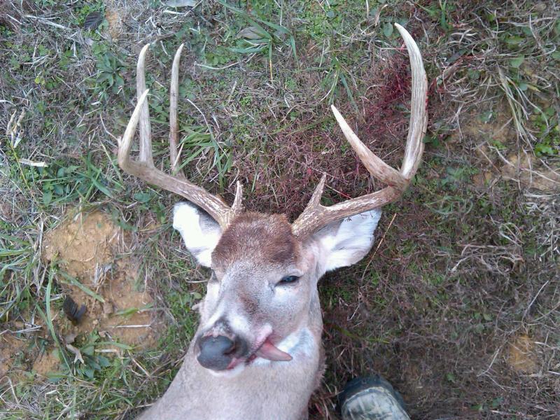 Hunting Outfitter Reviews Outfitter Reviews, Outfitter Reports