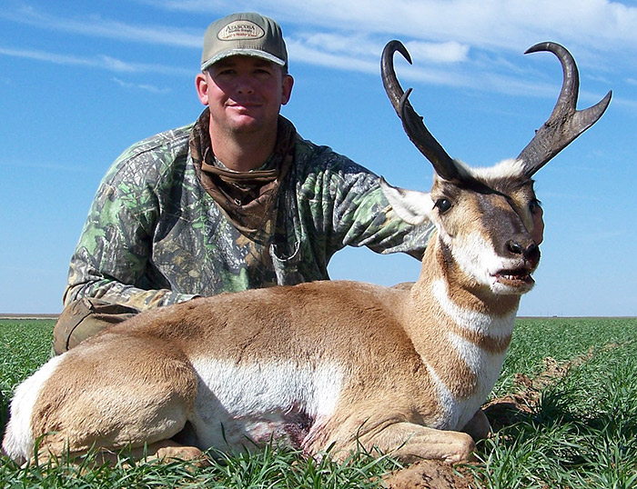 trophy antelope