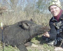 Texas wild hog
