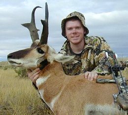 Montana Pronghorn buck