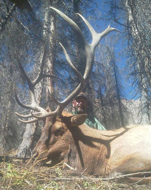 Rio Grande Elk Hunt